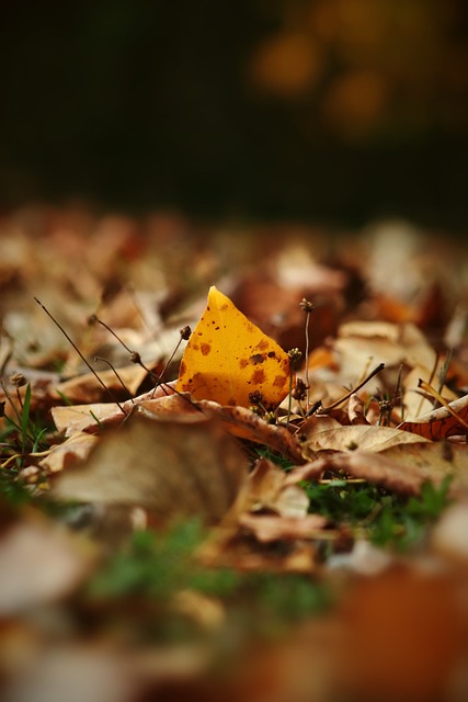 技巧和训练 技巧和训练